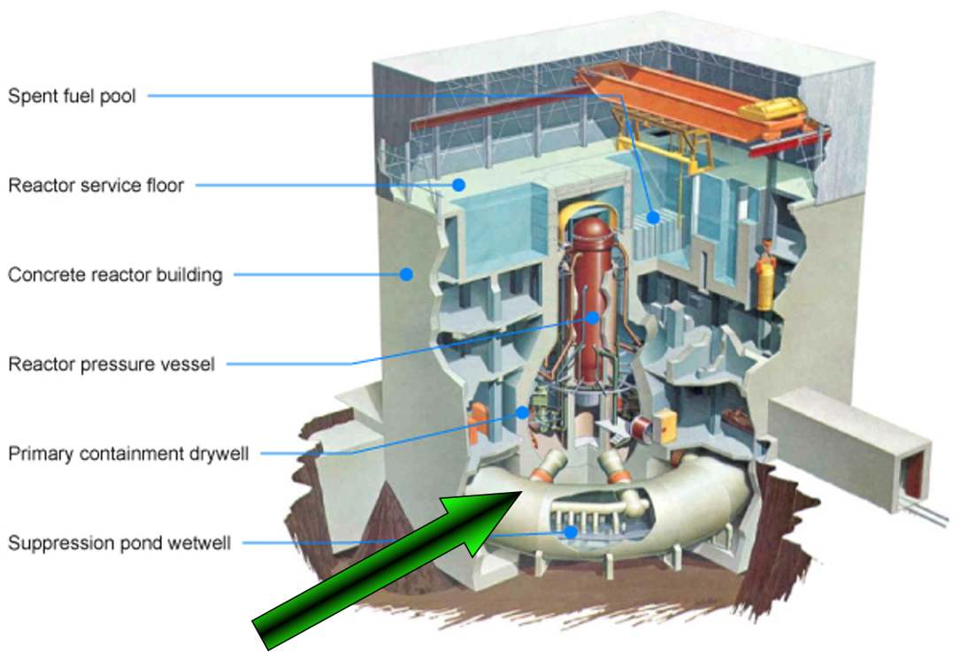 Cutaway diagram of a nuclear reactor building illustrating key containment and structural components.